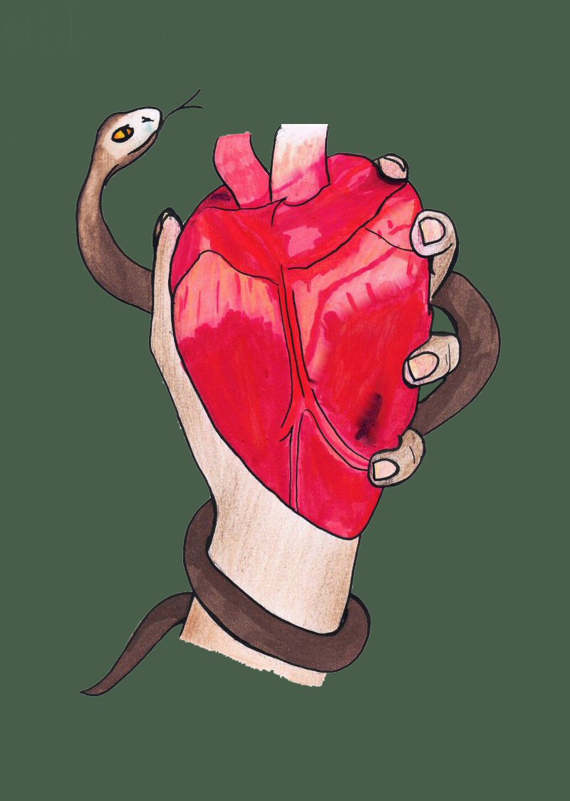 The Bound Heart Promo Illustration